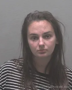Mugshot of LEAH DAWN BLANKENSHIP booked in New Hanover County, North Carolina on July 24, 2026