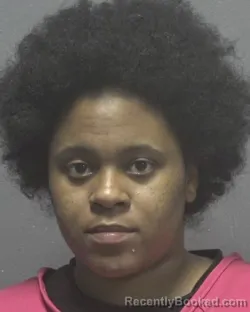 Mugshot of SANDRA JULIA JOHNSON