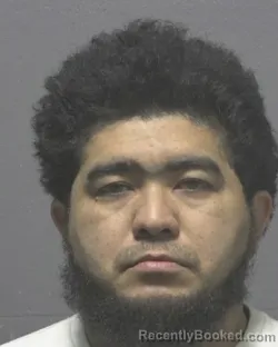 Mugshot of WILLIAMS CASTRO