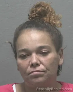 Mugshot of Suzette Renee Haggins booked in New Hanover County, North Carolina on August 25, 2026