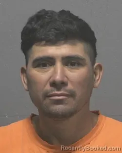 Mugshot of EVARISTO MONTH-CANO