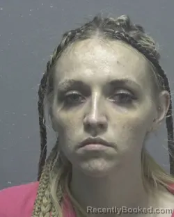 Mugshot of VIRGINIA ROSE POLLOCK booked in New Hanover County, North Carolina on March 29, 2026