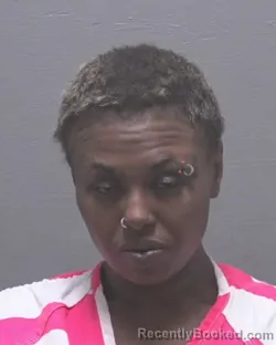 Mugshot of BOBBIE DIJONNA STEWART booked in New Hanover County, North Carolina on March 29, 2026