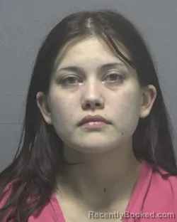 Mugshot of CLEA NICHOL HOLLOWAY booked in New Hanover County, North Carolina on April 2, 2026