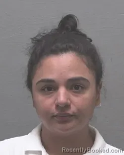 Mugshot of KATTLIN CASTRO-BANEGAS booked in New Hanover County, North Carolina on May 12, 2026