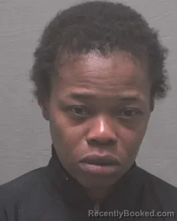 Mugshot of VIVIAN AKINYI JOSIAH booked in New Hanover County, North Carolina on May 15, 2026