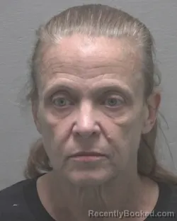 Mugshot of MELBA TURNER JONES booked in New Hanover County, North Carolina on May 15, 2026