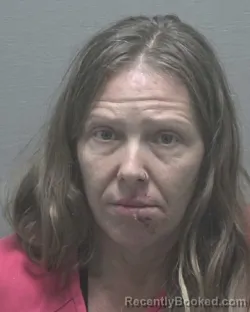 Mugshot of STEPHANIE JO PETERSON booked in New Hanover County, North Carolina on May 16, 2026