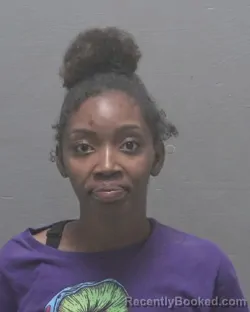 Mugshot of RUSSIA MICHELLE BELLAMY booked in New Hanover County, North Carolina on May 22, 2026
