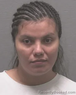 Mugshot of MERCYS GALEAS-ALVAREZ booked in New Hanover County, North Carolina on May 28, 2026
