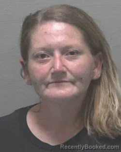 Mugshot of MEREDITH ANN ANDERSON booked in New Hanover County, North Carolina on May 28, 2026