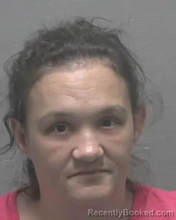 Mugshot of Brandy Locklear booked in New Hanover County, North Carolina on October 13, 2026