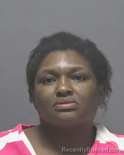 Mugshot of DAMEISHA DENISE STANLEY booked in New Hanover County, North Carolina on July 4, 2026