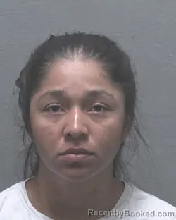 Mugshot of MARIA ISABEL REYES-RIVERA booked in New Hanover County, North Carolina on July 9, 2026