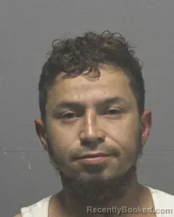Mugshot of JUNIOR FRANCISCO OLMEDO MEZA booked in New Hanover County, North Carolina on July 15, 2026
