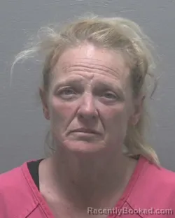 Mugshot of Judith Lynn Simmons booked in New Hanover County, North Carolina on August 21, 2026