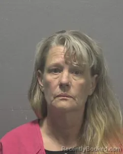 Mugshot of Karolyn Elizabeth Mccarthy booked in New Hanover County, North Carolina on August 22, 2026
