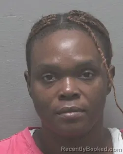 Mugshot of Lattoya Rashe Bailey booked in New Hanover County, North Carolina on August 29, 2026