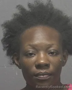 Mugshot of Camilla Jamie Spencer booked in New Hanover County, North Carolina on September 1, 2026