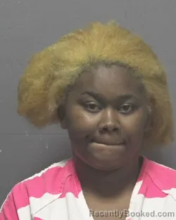 Mugshot of Portia Renee Johnson booked in New Hanover County, North Carolina on September 6, 2026