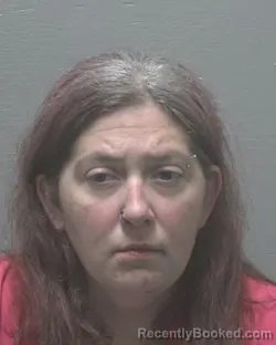 Mugshot of Jessica Ann Robinson booked in New Hanover County, North Carolina on September 7, 2026