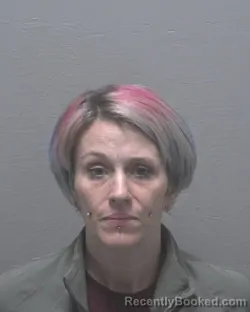 Mugshot of ELIZABETH WHITNEY WILKINS booked in New Hanover County, North Carolina on March 24, 2026