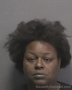 Mugshot of TASHEENA BARNES booked in New Hanover County, North Carolina on July 19, 2026
