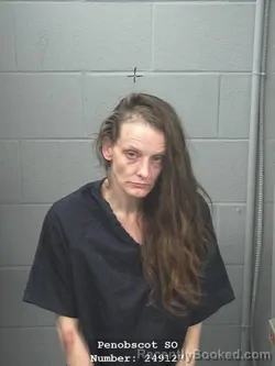 Mugshot of KRISTI L HILL