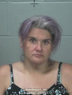 Mugshot of ANNAMICHELLE ALZERRECA booked in Penobscot County, Maine on July 9, 2026