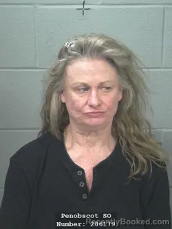 Mugshot of CAROL ANN GOODWIN