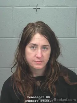 Mugshot of KELLY JANE ANDERSON