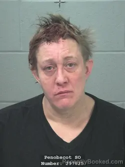 Mugshot of JODI SUE GAVITT