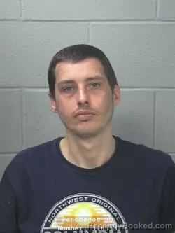 Mugshot of BRETT ROBERT SKINNER