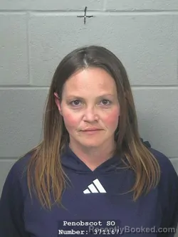 Mugshot of TERESA L HODGES