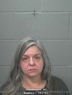 Mugshot of KELLY J GALLISON