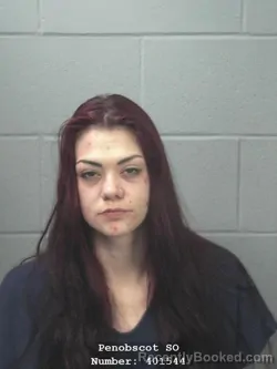 Mugshot of BREE A LANDRY