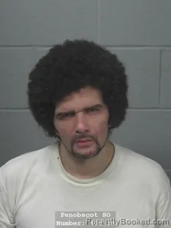 Mugshot of LANCE WAYNE ROGERS