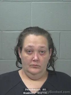 Mugshot of SARA LYN HATHAWAY