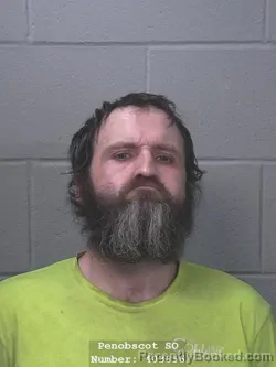 Mugshot of DARIN LYMAN BOTTING