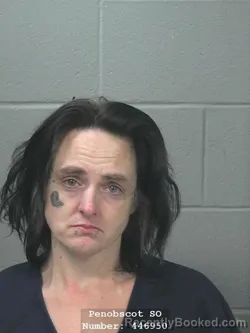 Mugshot of JESSICA R HIGGINS