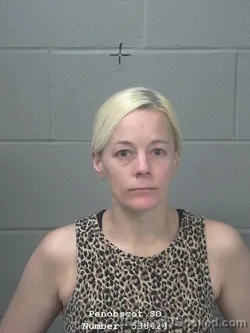 Mugshot of ERICHKA A STROUT