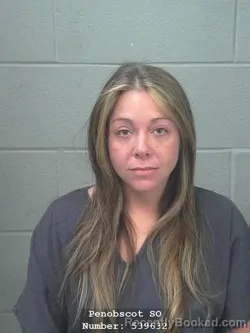 Mugshot of ASHLEY P DAVIS