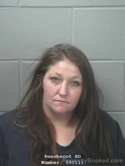 Mugshot of BILLIE A HANINGTON