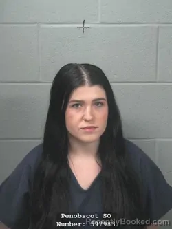 Mugshot of SYDNEY A N FERRIS