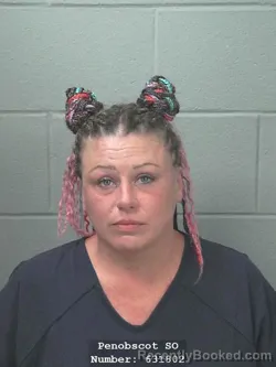 Mugshot of REBECCA LEE NERSESSIAN booked in Penobscot County, Maine on June 20, 2026