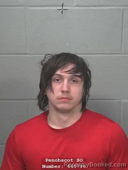 Mugshot of RICKY ALLEN HOLMES