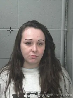 Mugshot of REBECCA LYNN ROBINSON