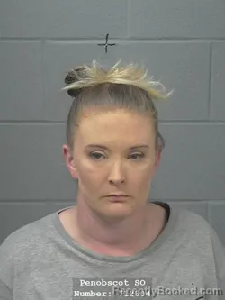 Mugshot of ALYSSA D TURCOTTE