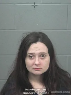 Mugshot of ASHLEY ANNE LUDDEN
