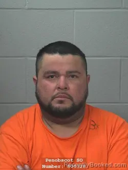 Mugshot of LUIS A DELGADO